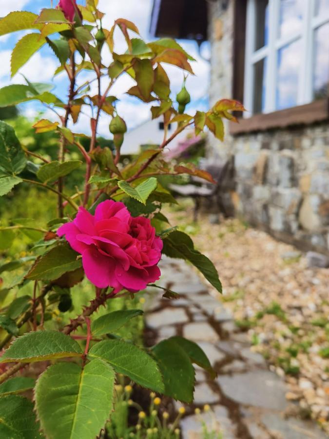 Ferienhaus Eifelrose Зиммерат Экстерьер фото