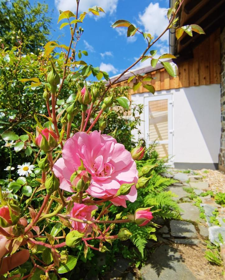 Ferienhaus Eifelrose Зиммерат Экстерьер фото